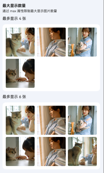 最大显示数量